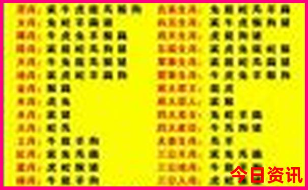 开奖记录2023年澳门历史结果
